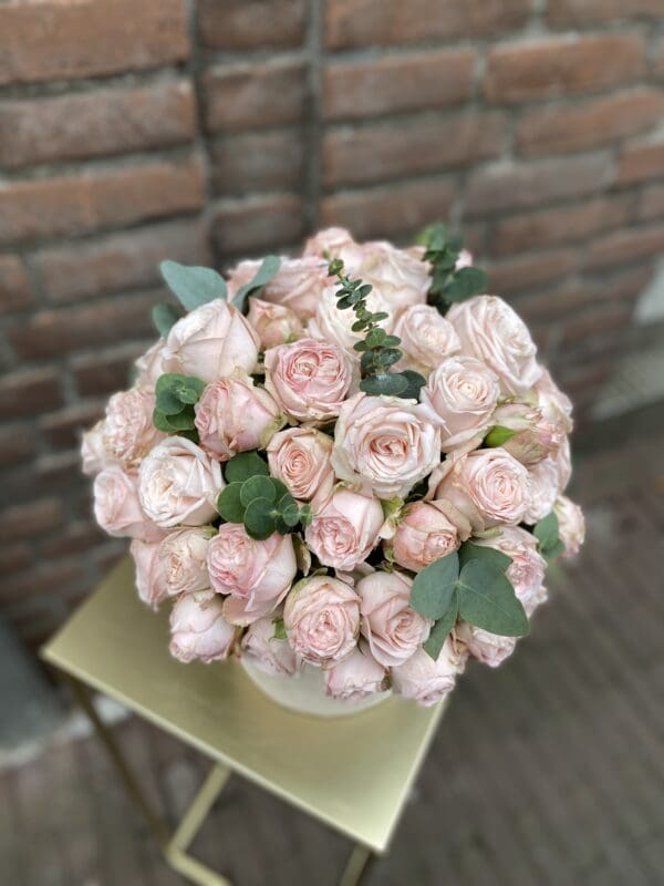 Flowerbox Bombastic
