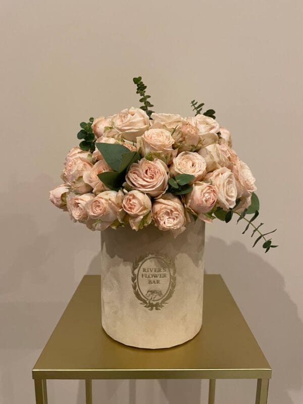 Flowerbox Bombastic