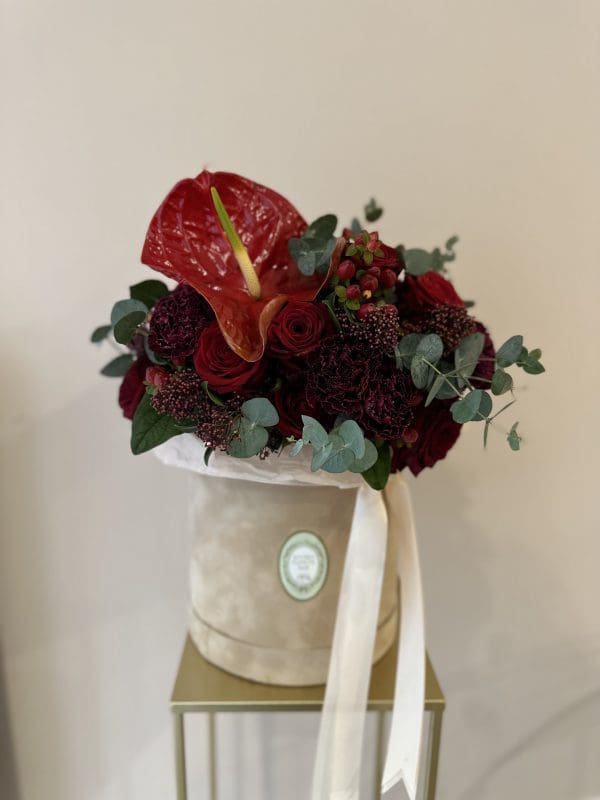Flowerbox Red Dragon