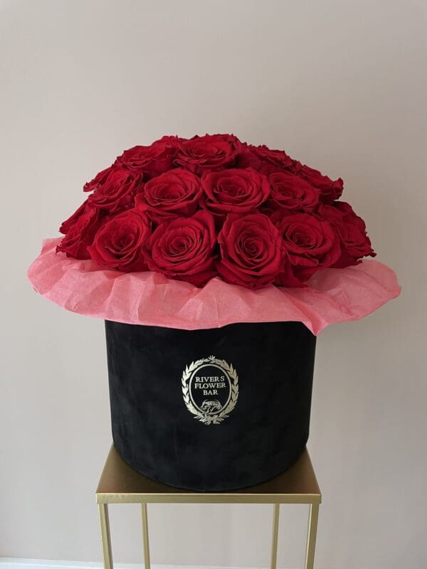 longlife-flowerbox