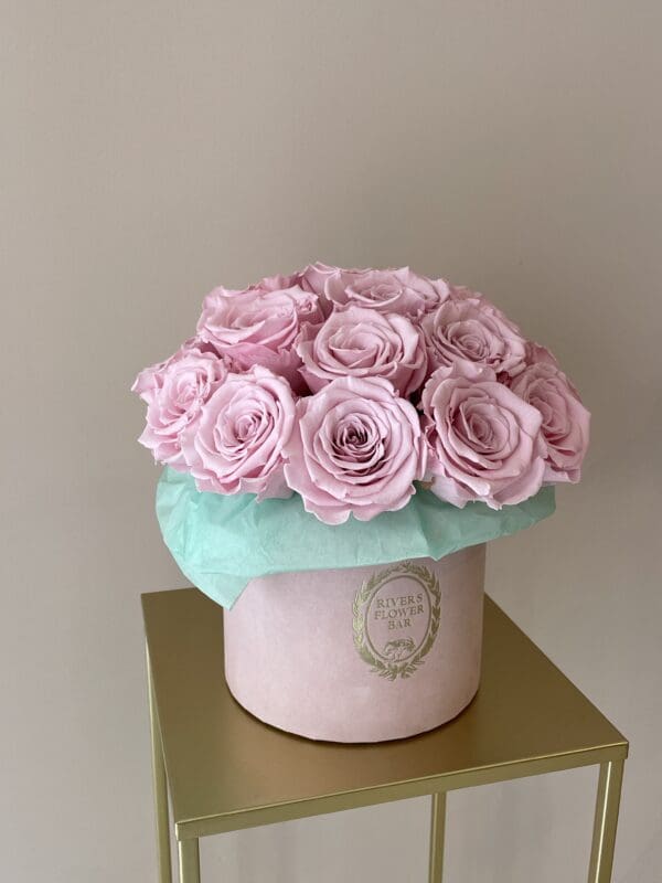Petite-Juliette-Longlife-Flowerbox