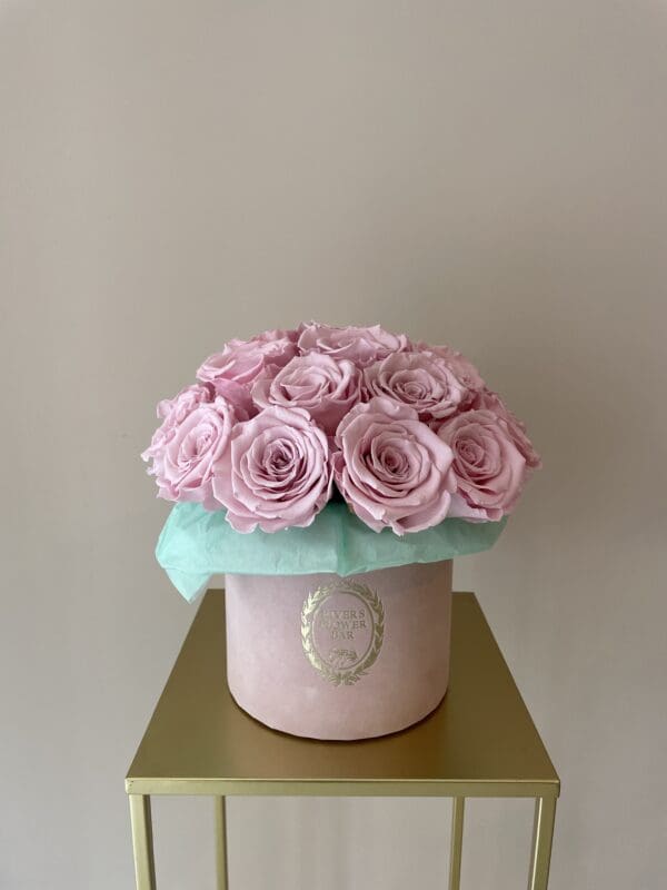 Petite-Juliette-Longlife-Flowerbox